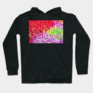 Spring Garden #1 Hoodie